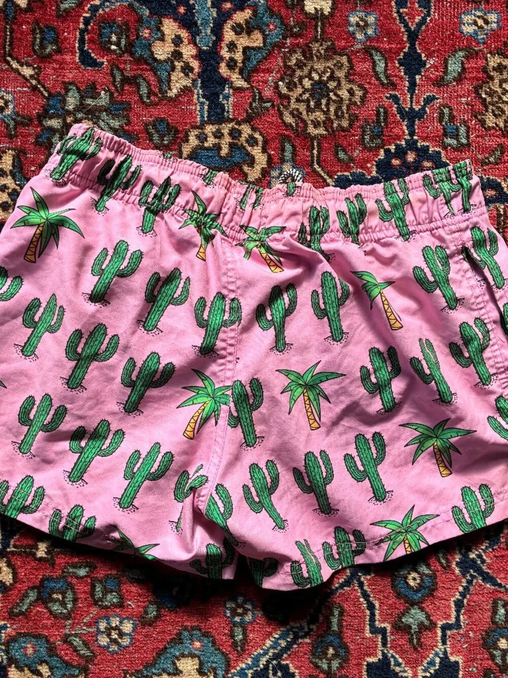 Palm Springs swim trunks